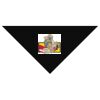 SOL'S Bandana Thumbnail