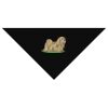 SOL'S Bandana Thumbnail